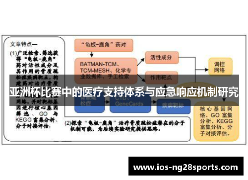亚洲杯比赛中的医疗支持体系与应急响应机制研究 亚洲杯比赛中的医疗支持体系与应急响应机制研究
