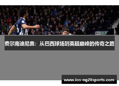 费尔南迪尼奥:从巴西球场到英超巅峰的传奇之路 费尔南迪尼奥:从巴西球场到英超巅峰的传奇之路