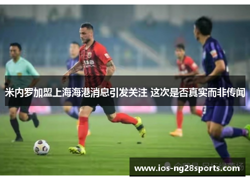 米内罗加盟上海海港消息引发关注 这次是否真实而非传闻 米内罗加盟上海海港消息引发关注 这次是否真实而非传闻