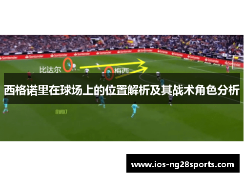 西格诺里在球场上的位置解析及其战术角色分析 西格诺里在球场上的位置解析及其战术角色分析