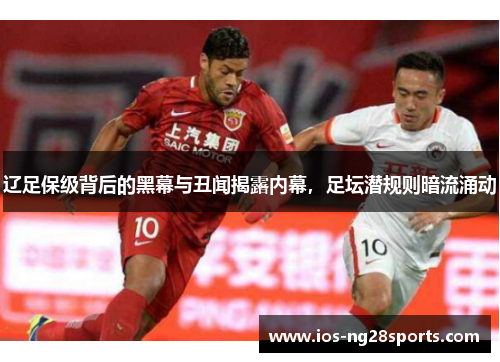 辽足保级背后的黑幕与丑闻揭露内幕,足坛潜规则暗流涌动 辽足保级背后的黑幕与丑闻揭露内幕,足坛潜规则暗流涌动